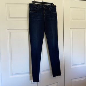 Adriano Goldschmied Dark Wash Skinny Jeans